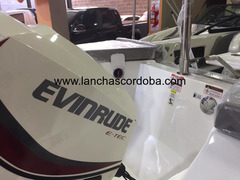 Klase A 180, Con Evinrude Etec 115