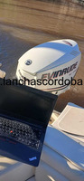 Diagnóstico computarizado de motores náuticos